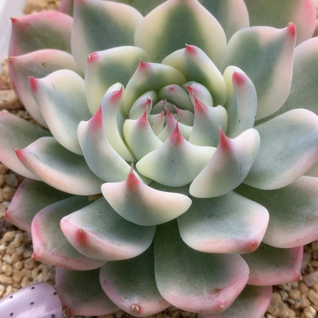 090哈哈哈哈哈哈哈哈哈哈哈哈
