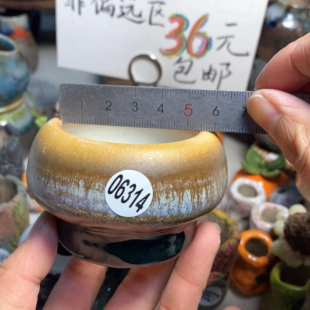 拍5送一个小礼物花盆