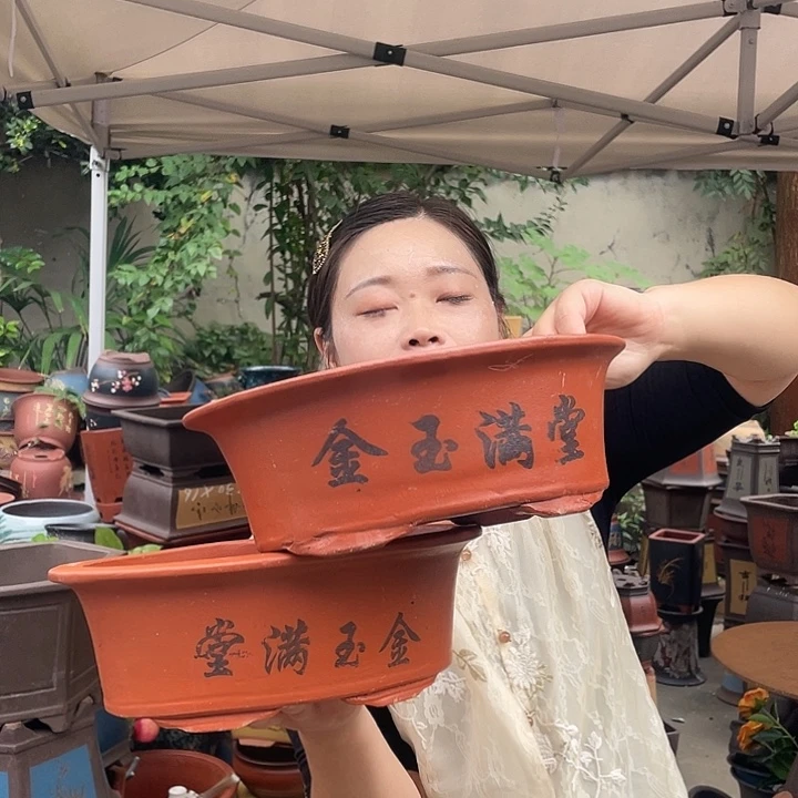 2个30红椭圆花盆紫砂花盆