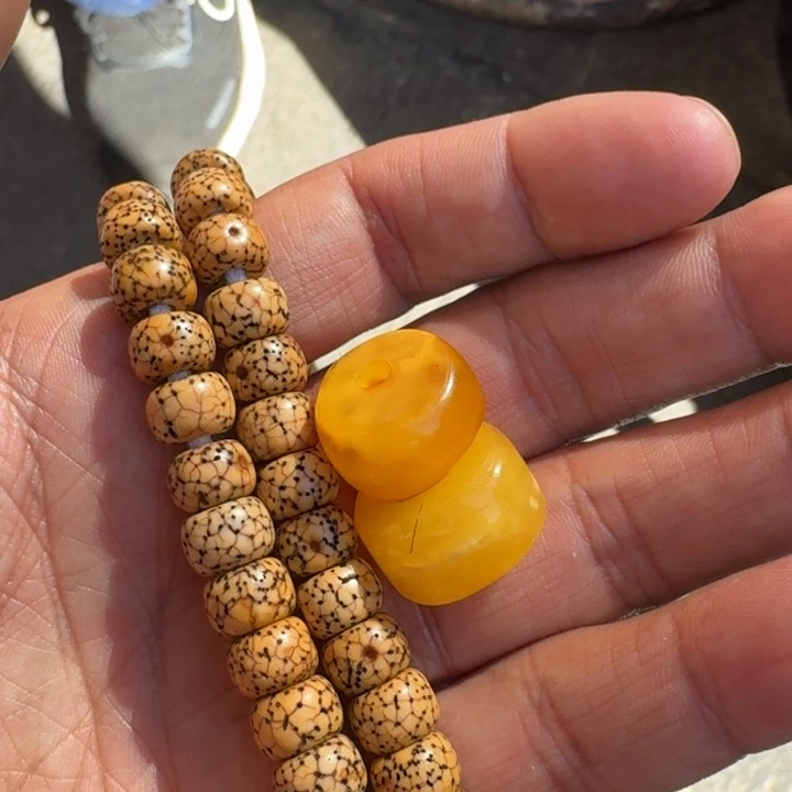 白玉菩提吊坠爱****尘菩提树等树木的生长发育