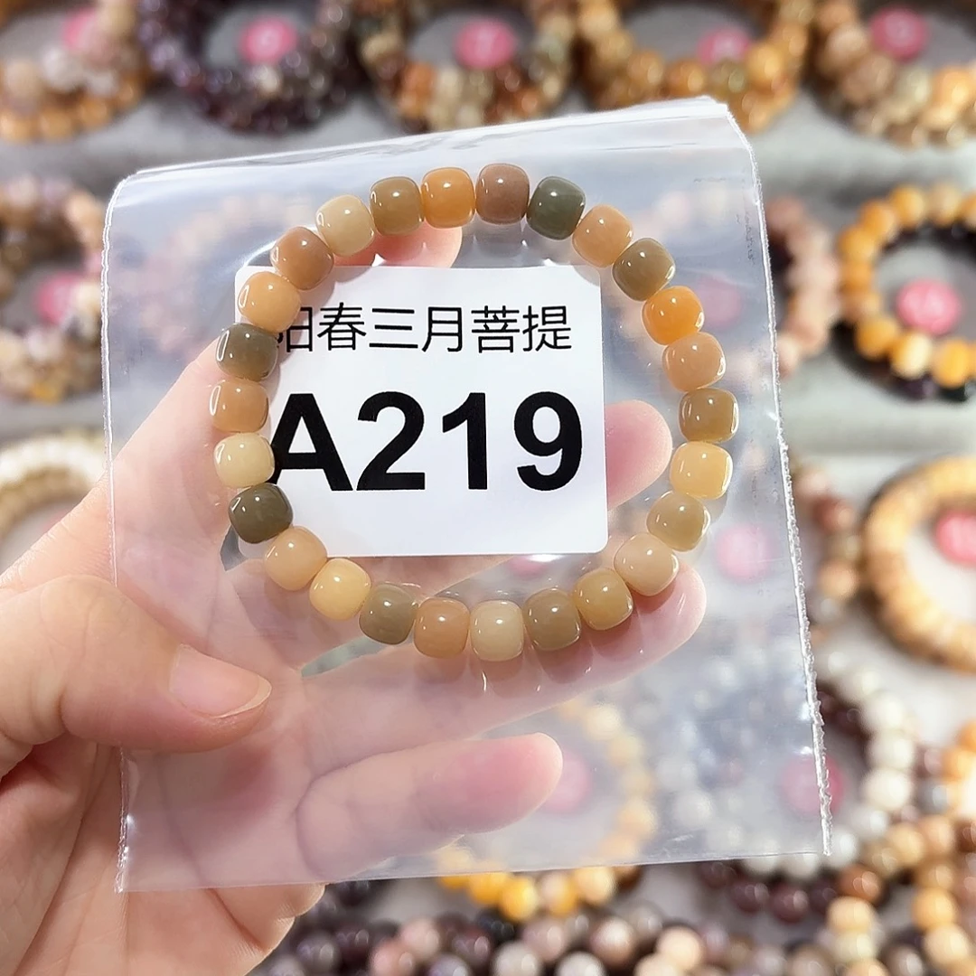 L****菩提根/象牙果手串