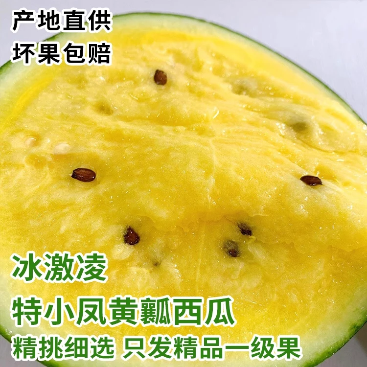 网红热卖款当季应季冰淇淋特小凤黄心西瓜口感佳肉嫩汁多解暑神器