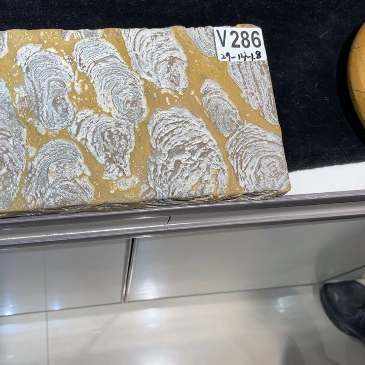 紫砂茶盘冬*玉化壶承