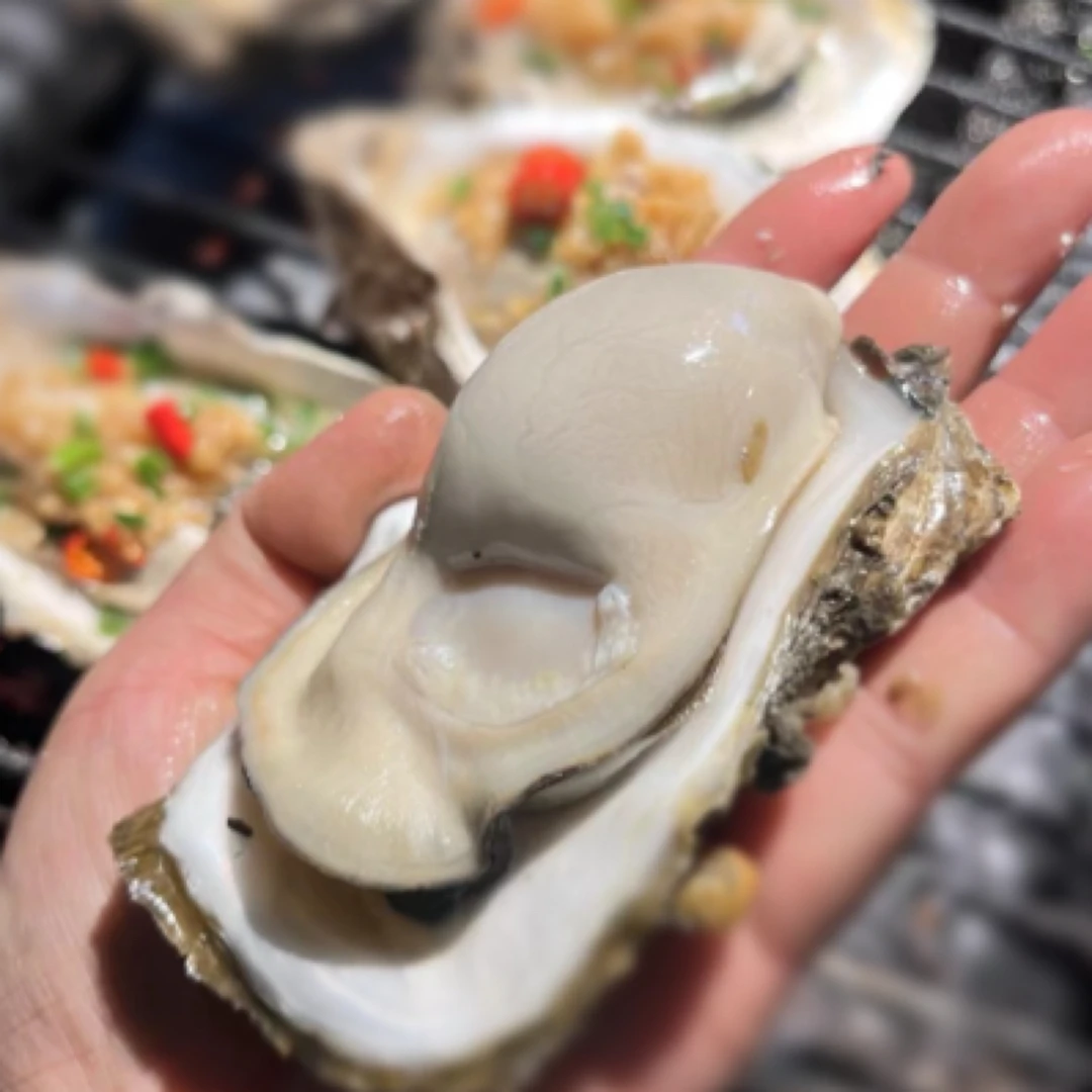 【活蚝现吃 】5斤家庭装 口感鲜滑嫩