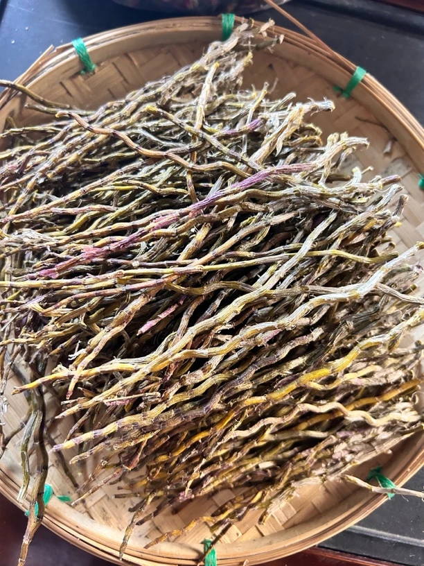 尘子甄选 好物分享精选石斛饱满胶质感足