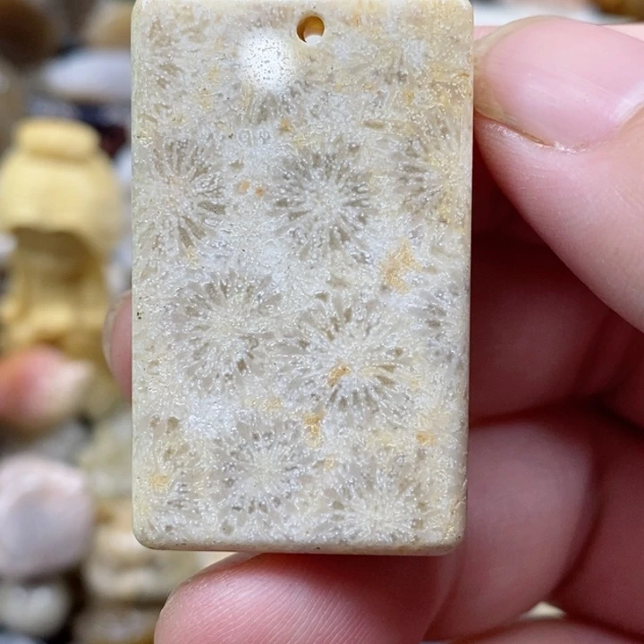 颈饰未镶嵌硅化珊瑚（珊瑚玉）小