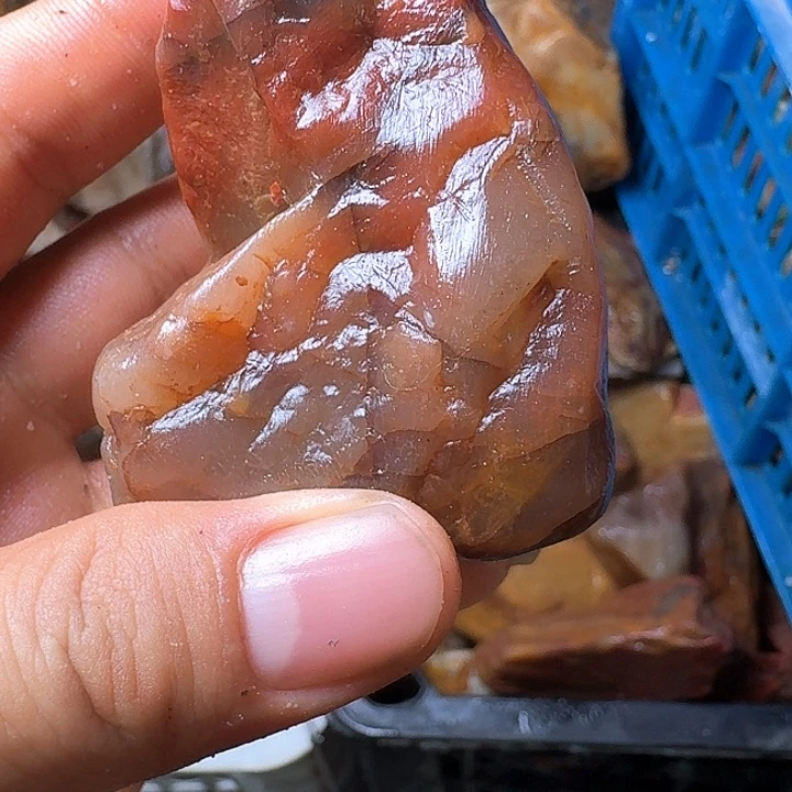 芳***华寿山石寿山石的种类