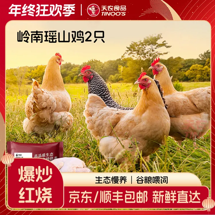 天农岭南瑶山鸡山林散养土鸡肉质鲜嫩两只品质优选生态煲汤