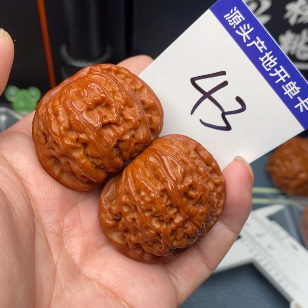 白狮子41momomomomomo