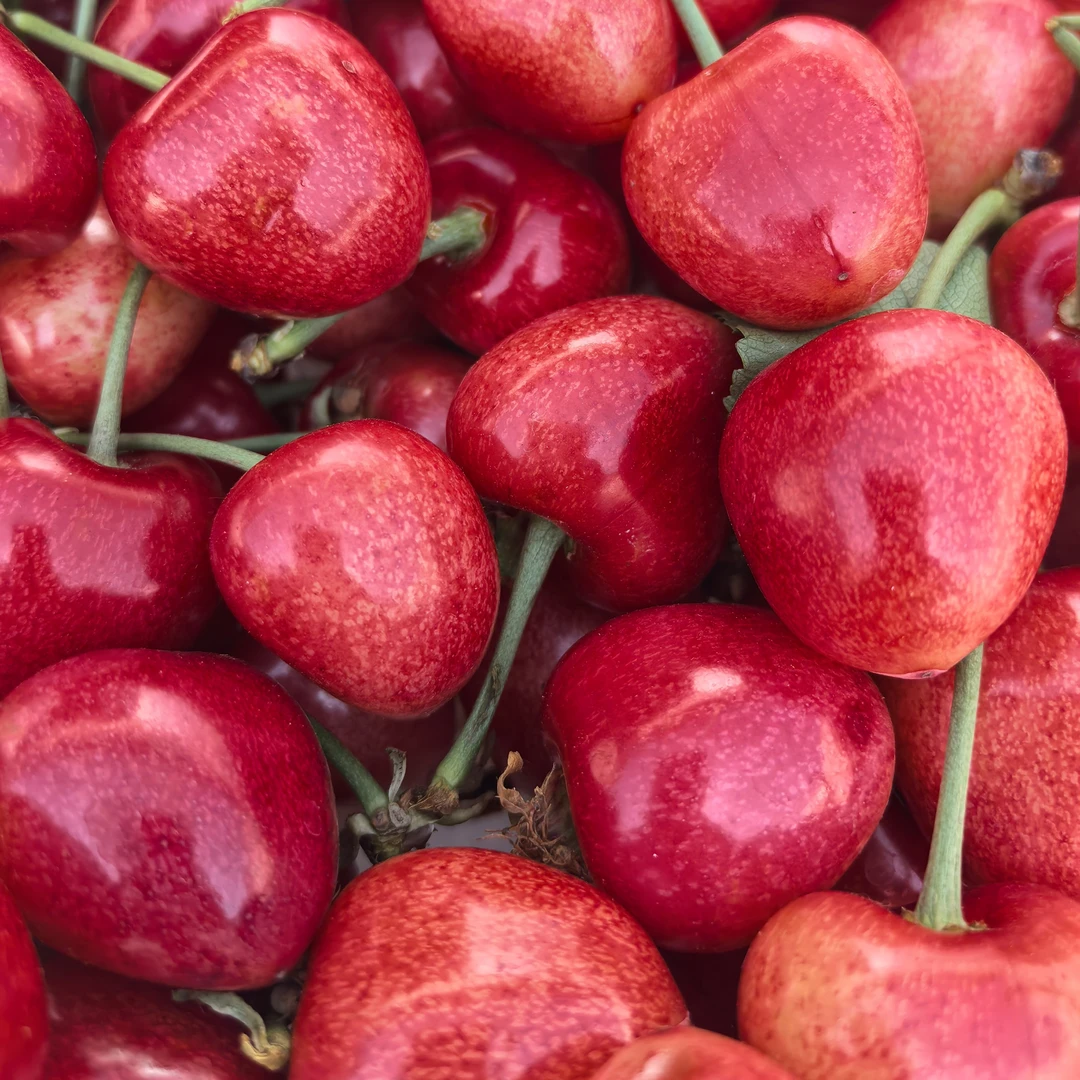 【高山旱地大沙王】大连沙王大樱桃3-5斤当天采摘顺丰空运包邮