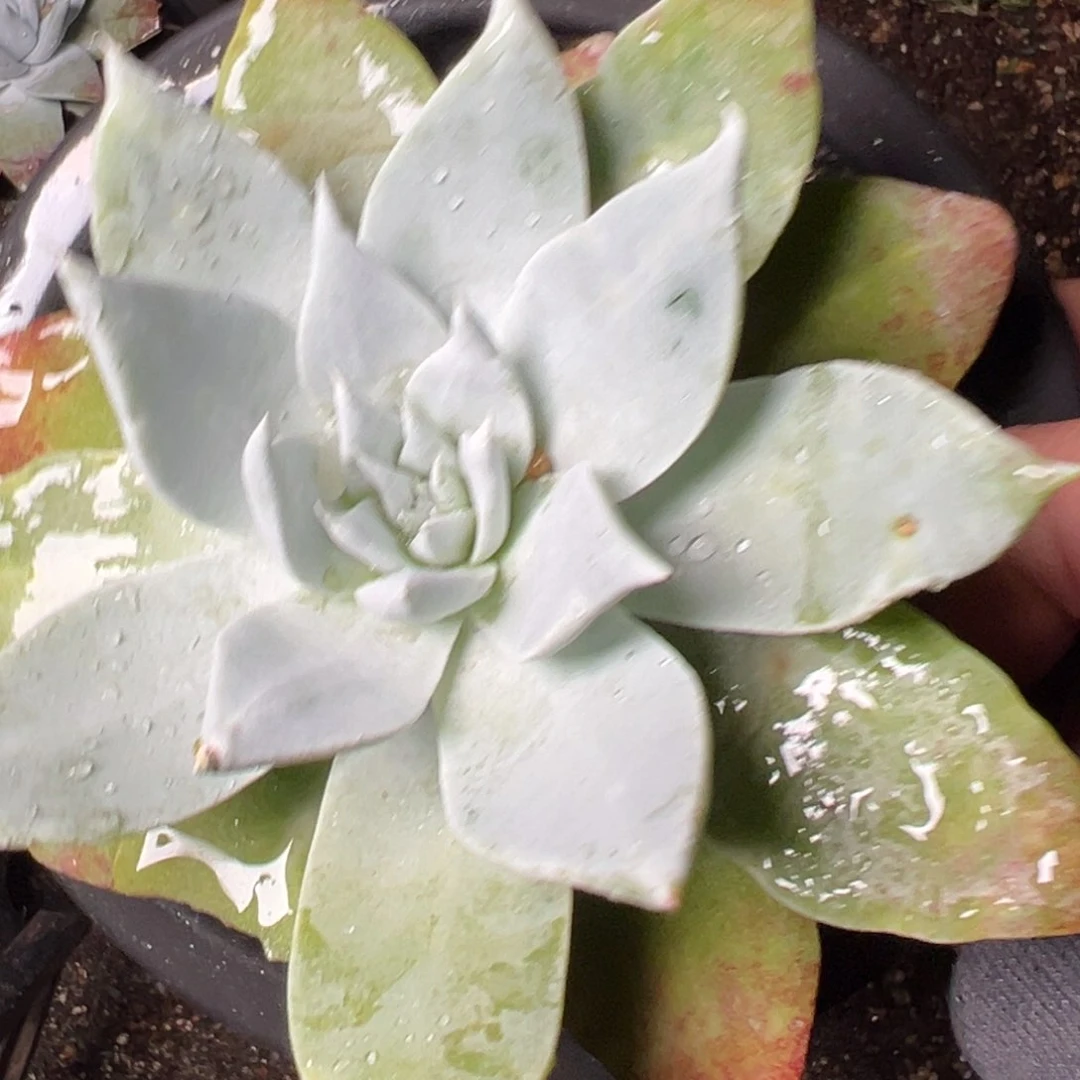 2536哈哈哈哈哈哈