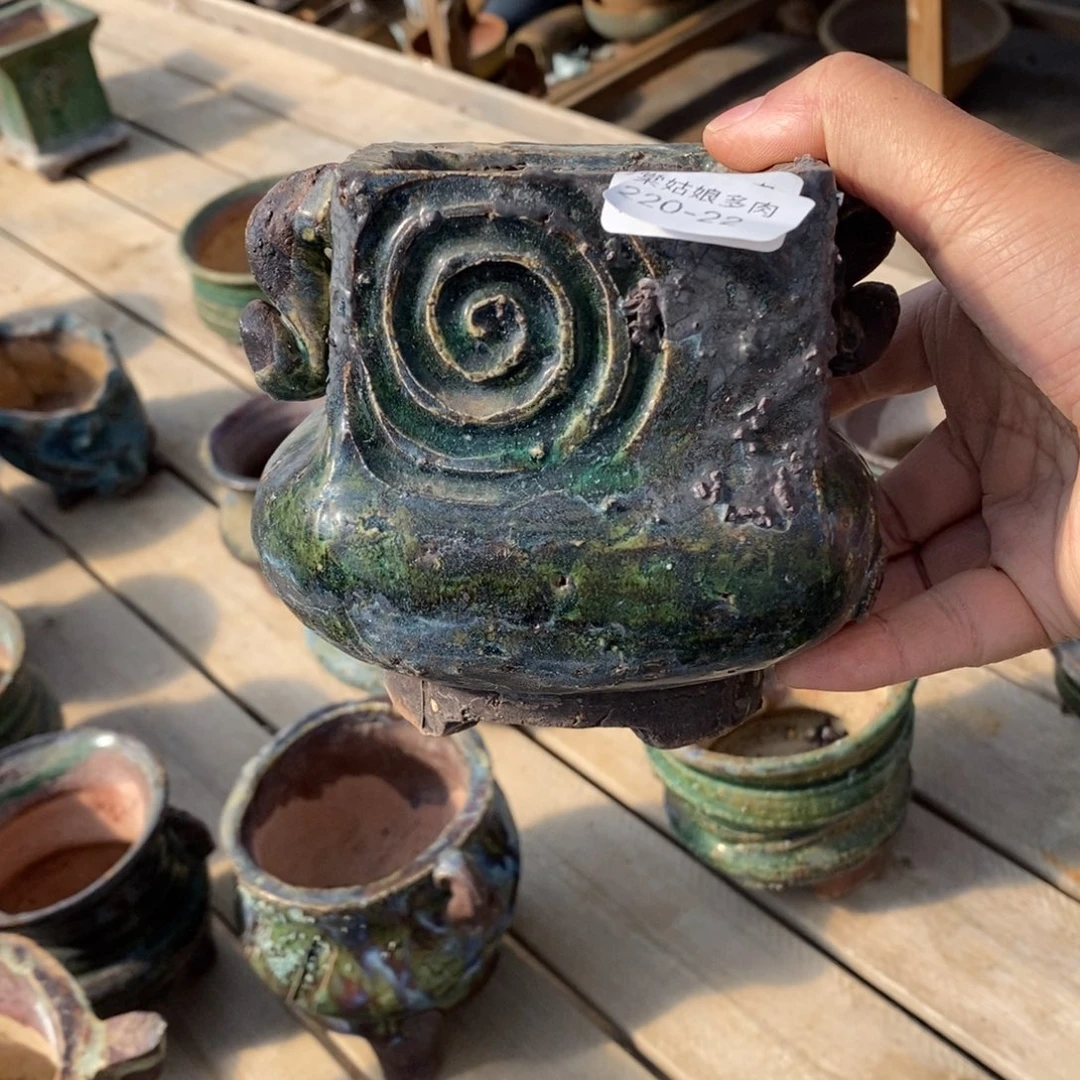 红陶彧*22号多肉盆一个呀