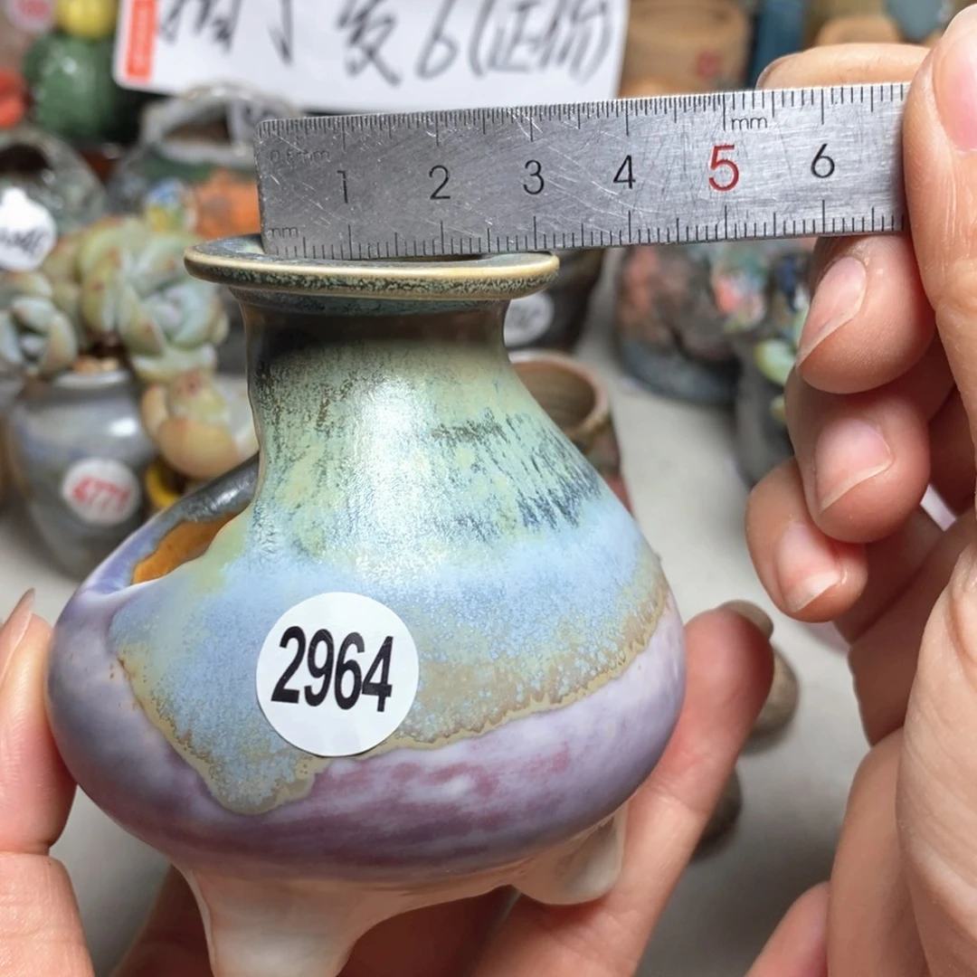 拍5送一个小礼物