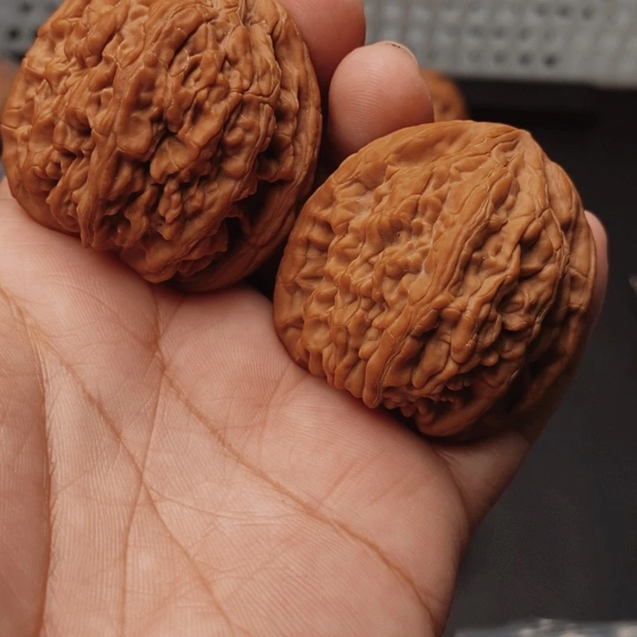 中***人核桃虎头王42尺核桃