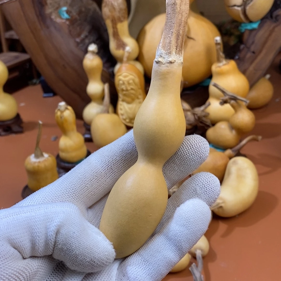W***m途径教练教练咯咯