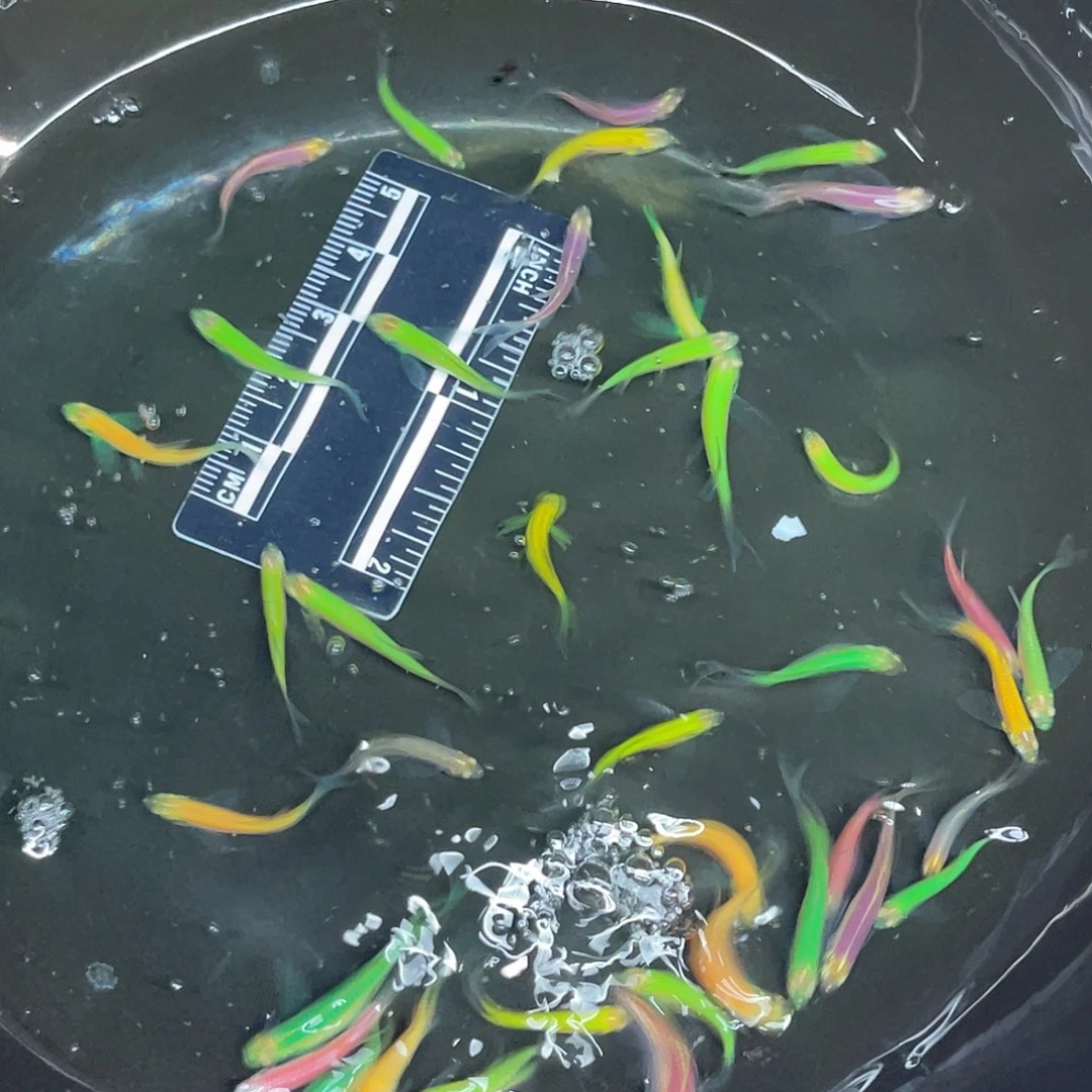 海星2-5号哈哈哈哈哈哈