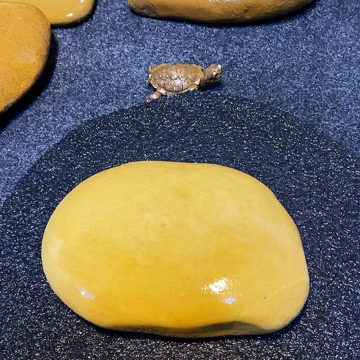 【闪购商品】佳**度乌龟爬台石