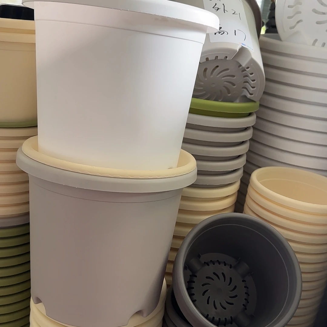 树脂四季4号带托6个白色