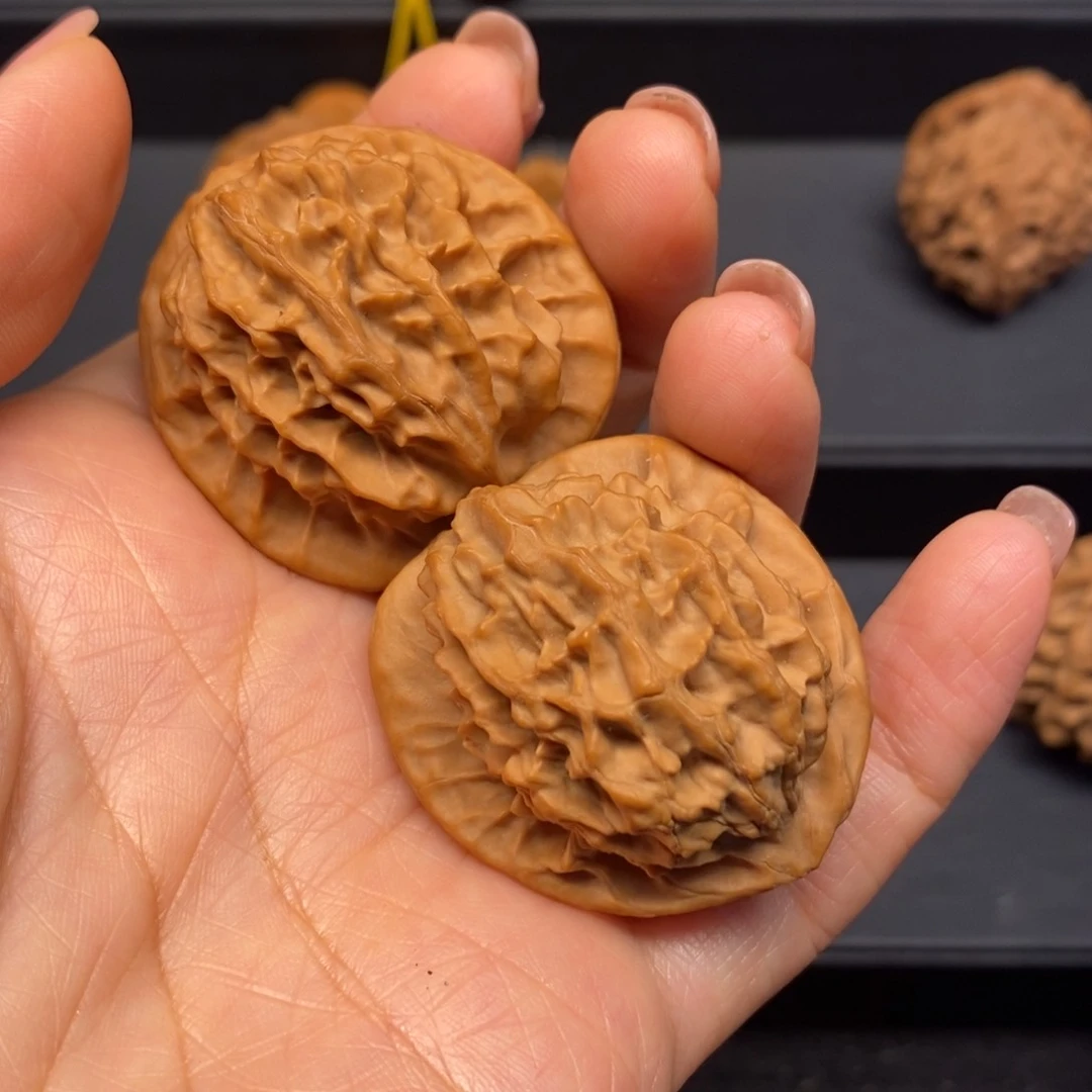 秦岭南北缘和秦岭北麓部分地带