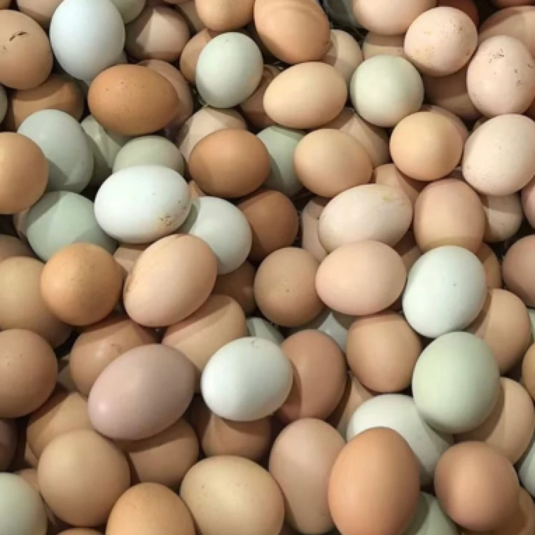 土鸡蛋澧县30枚/箱顺丰包邮