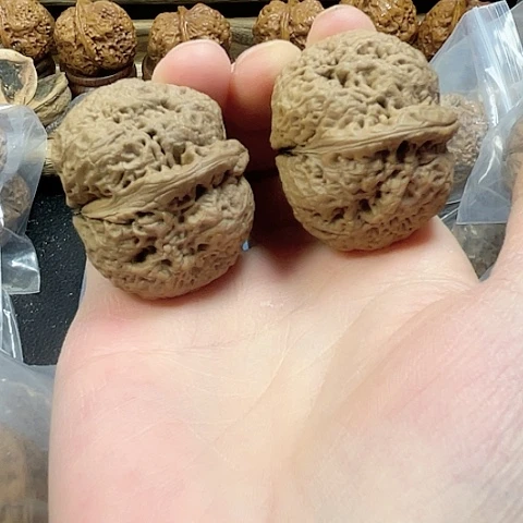 文玩核桃把件密纹金蟾带彩41+