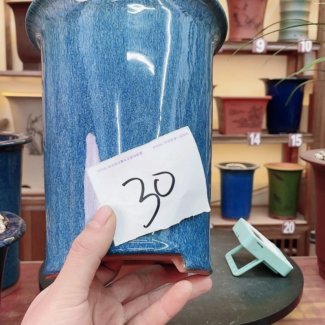 【闪购商品】紫砂花盆a*宝兰花752355522544255885