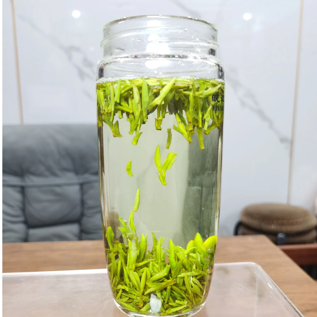 2025明前正宗岳西翠兰耐泡口感正T1