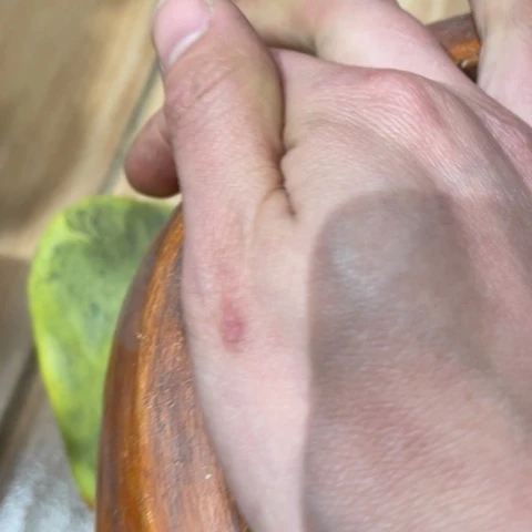 【闪购商品】杯满***院摆件摆件摆件摆件摆件不