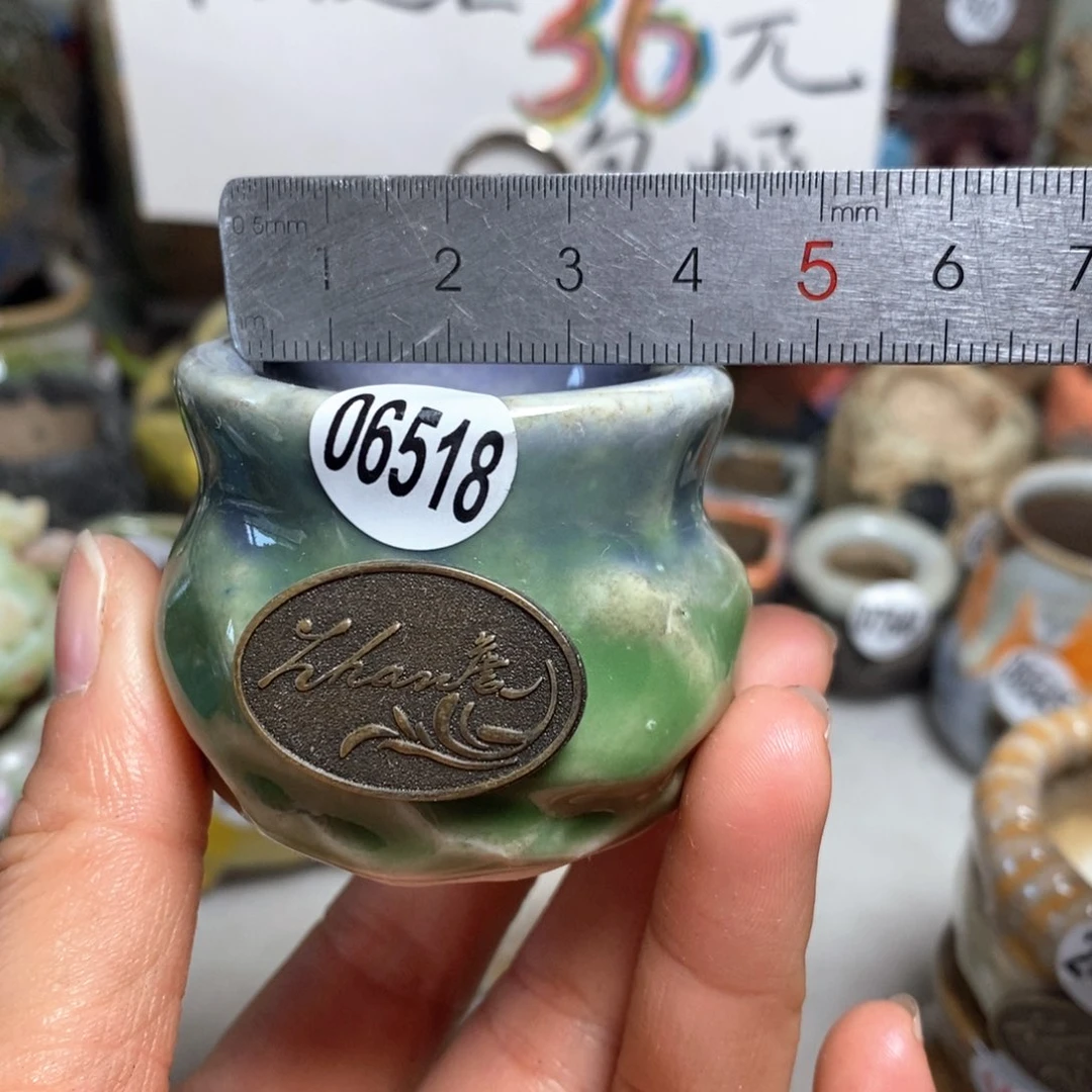 花盆拍5送一个小礼物