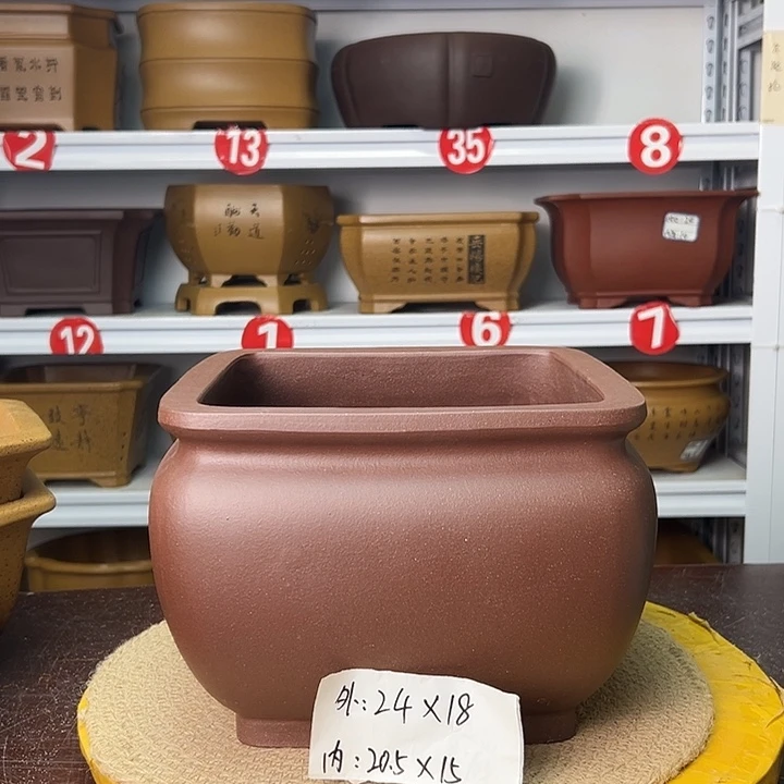 紫砂花盆蛇年大吉
