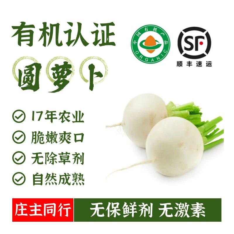 MUFENGYUAN/沐丰园农场直发顺丰包邮爽脆多汁自然成熟圆白萝卜