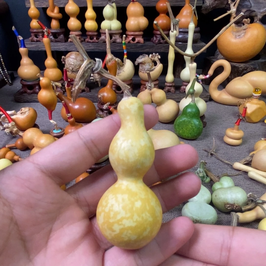 不***鱼葫芦直播间选用链接