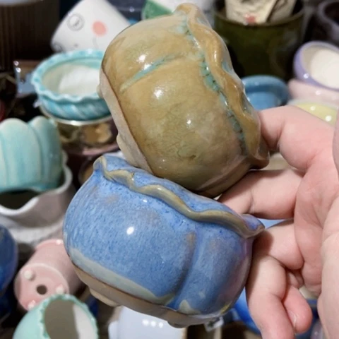 红陶订单凑满12包邮