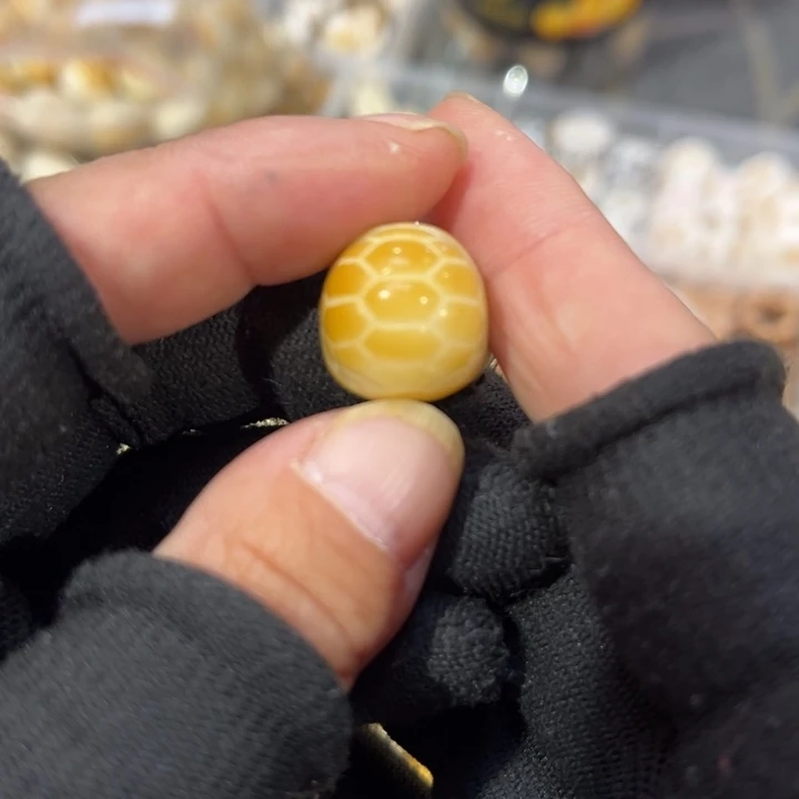 10龟背单颗全品精选高货