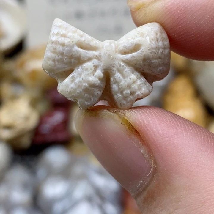 颈饰未镶嵌硅化珊瑚（珊瑚玉）小