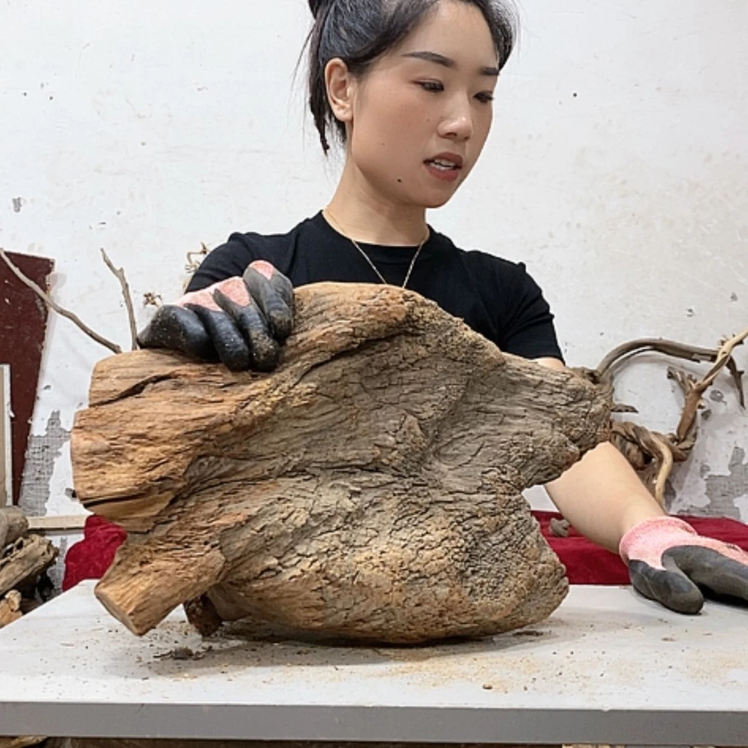【闪购商品】柏木悠**心我们都是好孩子