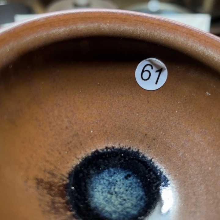 茶盏666666666666666666