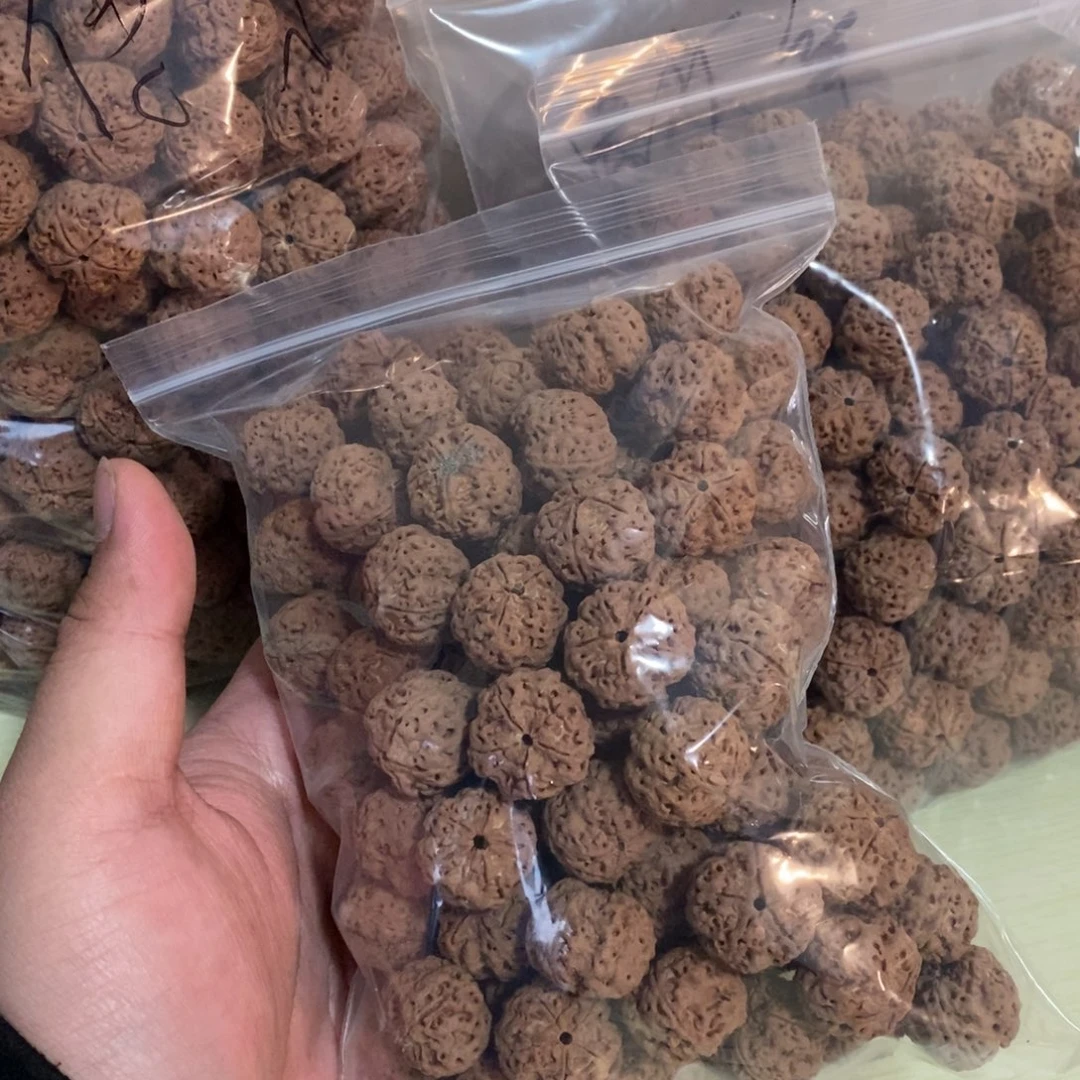 金刚菩提手串别***了福利金刚菩提手串