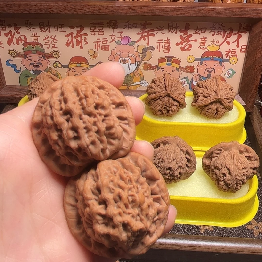 核桃全品金公子40