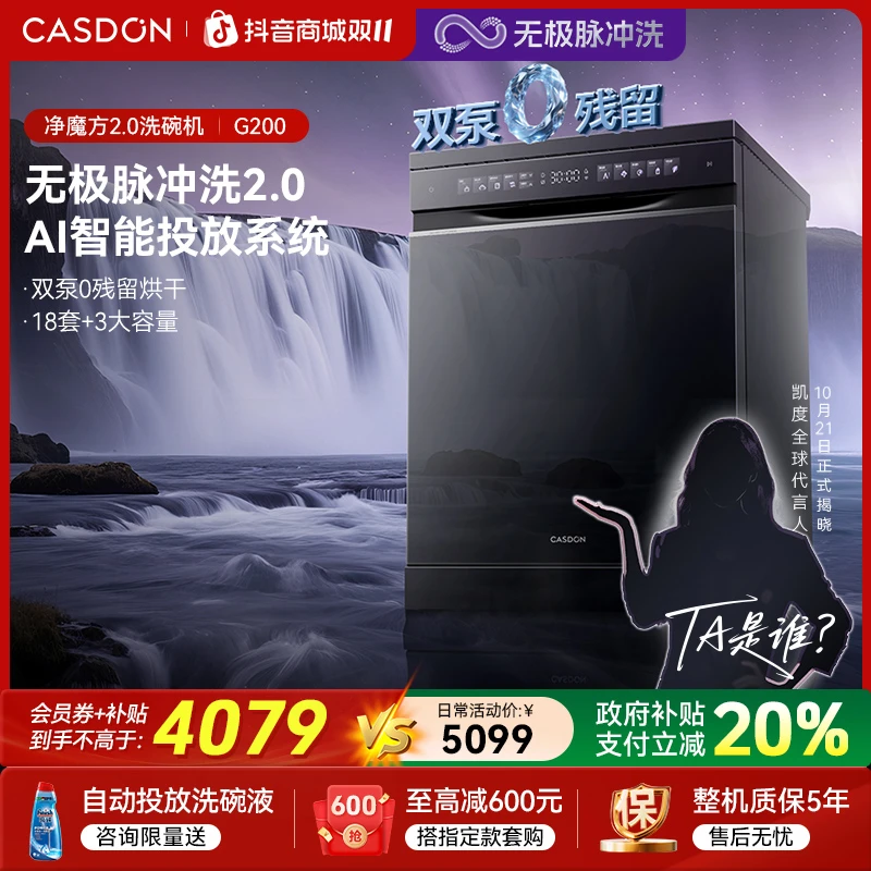 【双泵核心技术】凯度G200洗碗机 家用全自动洗碗18套 嵌入式洗碗机