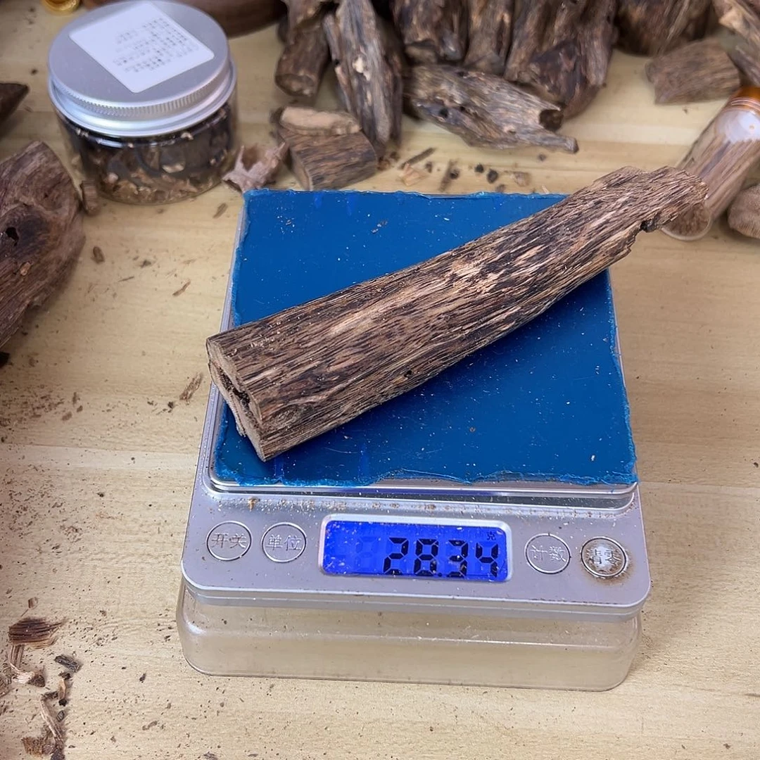 香料绿棋楠虫漏28克乌身圆叶