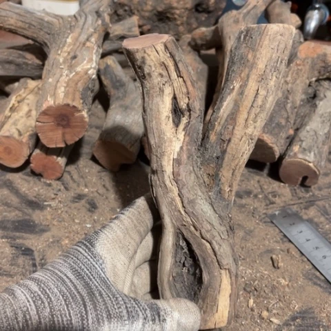 大果紫檀（缅甸花梨）L*e