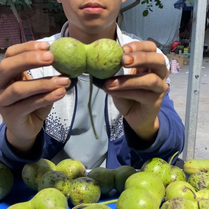 吊坠文玩核桃董**^