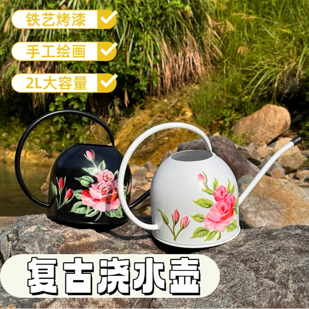 铁艺洒水壶2L浇菜大容量浇菜浇水绿植园艺浇花长嘴喷壶花园淋花壶