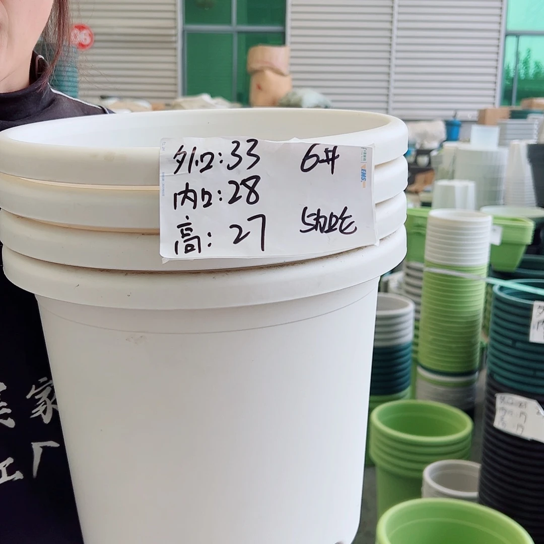 四季盆6#白色5个无托