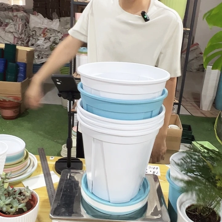 青山240口24高24混色带托5只