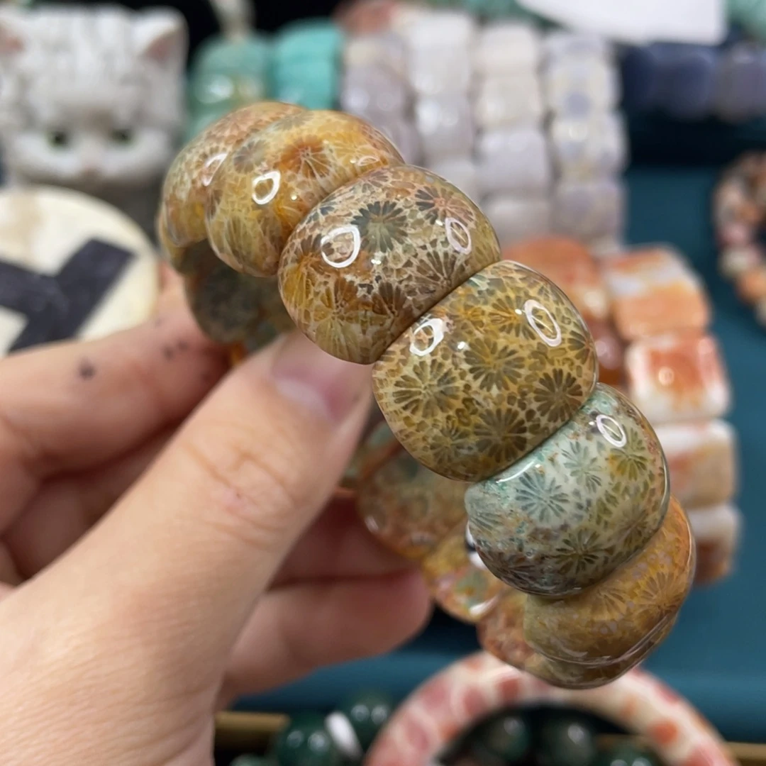 未镶嵌手镯硅化玉