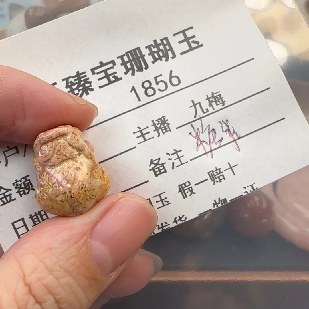 幸***️硅化珊瑚（珊瑚玉）未镶嵌颈饰