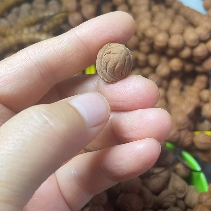 桃核吊坠水****5秦岭龙纹小龙纹12尺寸50颗打孔
