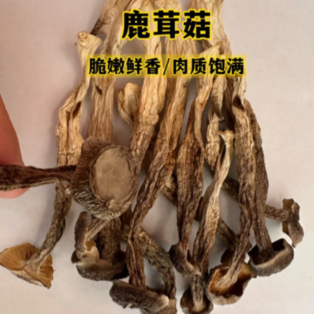 东北鹿茸菇（脆嫩鲜香- 肉质饱满）